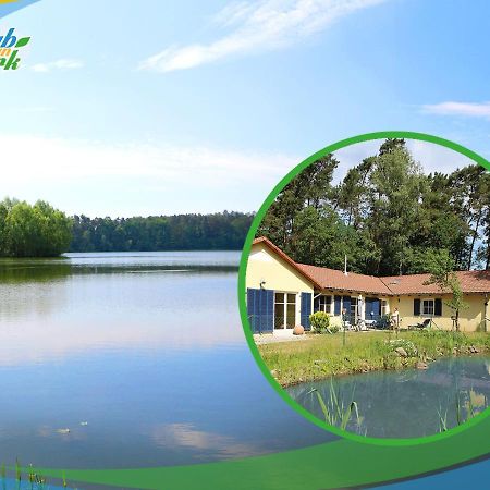 Familien-Suite-im-Wald-am-See Bork Exterior foto