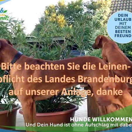 Familien-Suite-im-Wald-am-See Bork Exterior foto